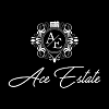 The Ace Estate Team - Keller Williams Realty